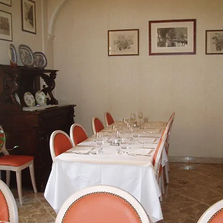 Amici