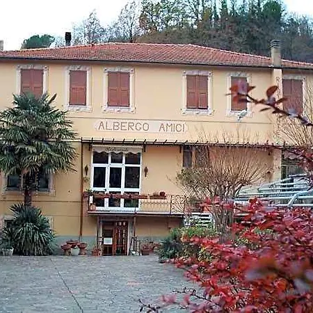 Hotel Amici 3*