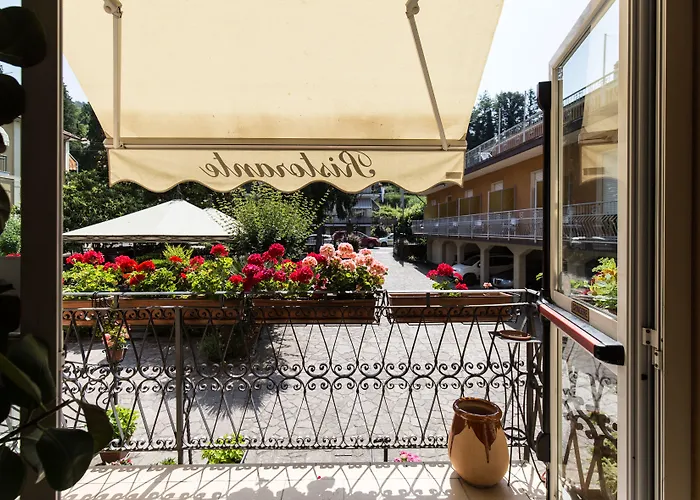 Amici 바레세 리구레